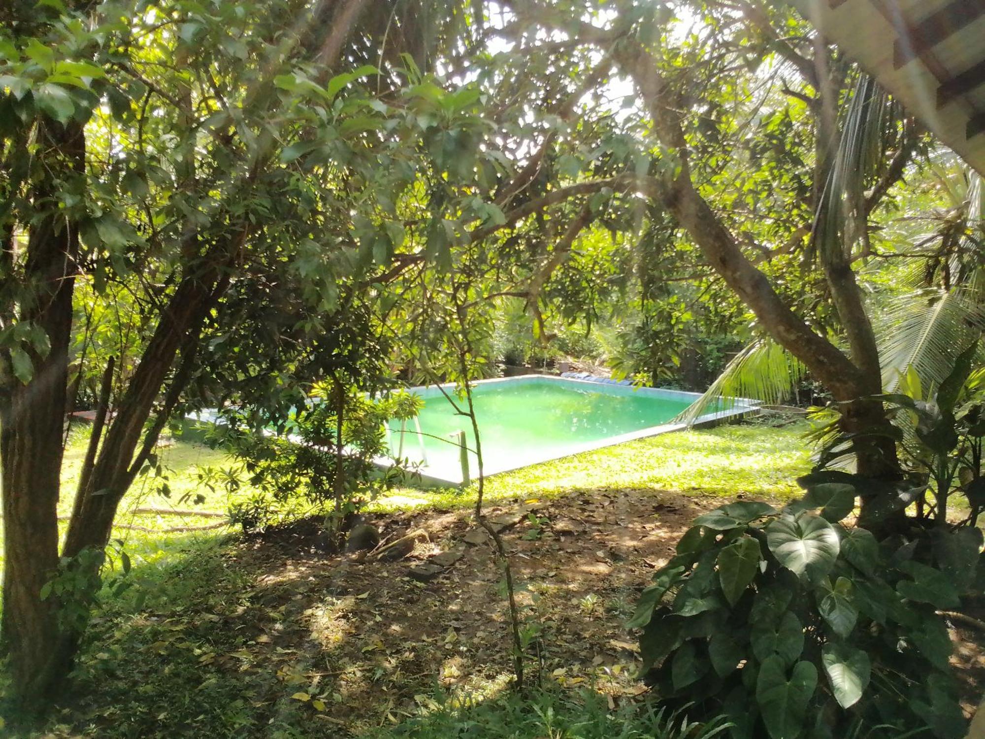 Green Hill Cottage Tangalle Bilik gambar
